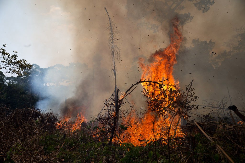 A Amazônia passou de absorvedora a emissora de CO2. (Fonte: Mídia NINJA/Flickr/Reprodução.)