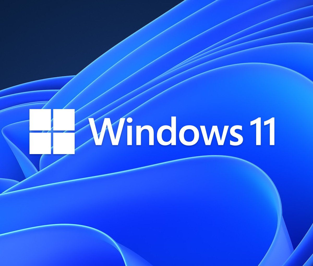 Windows 11 está presente em mais de 5% dos PCs, indica estudo