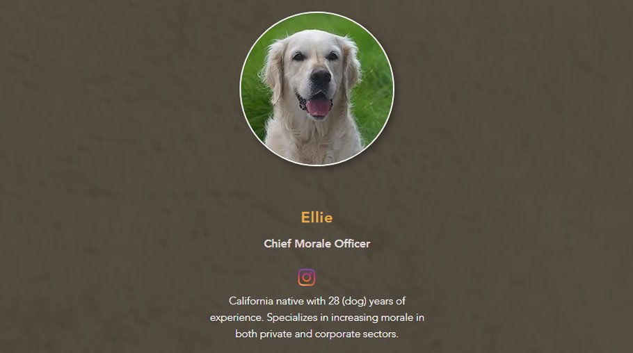 Cadelinha Ellie é listada como parte da equipe no site do estúdio