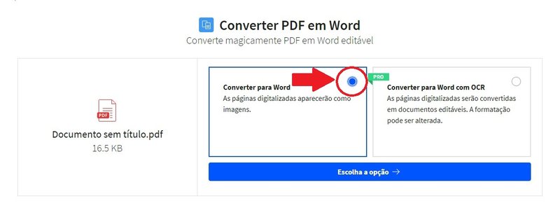 Não esqueça de marcar a opção para que o arquivo seja convertido no formato .doc