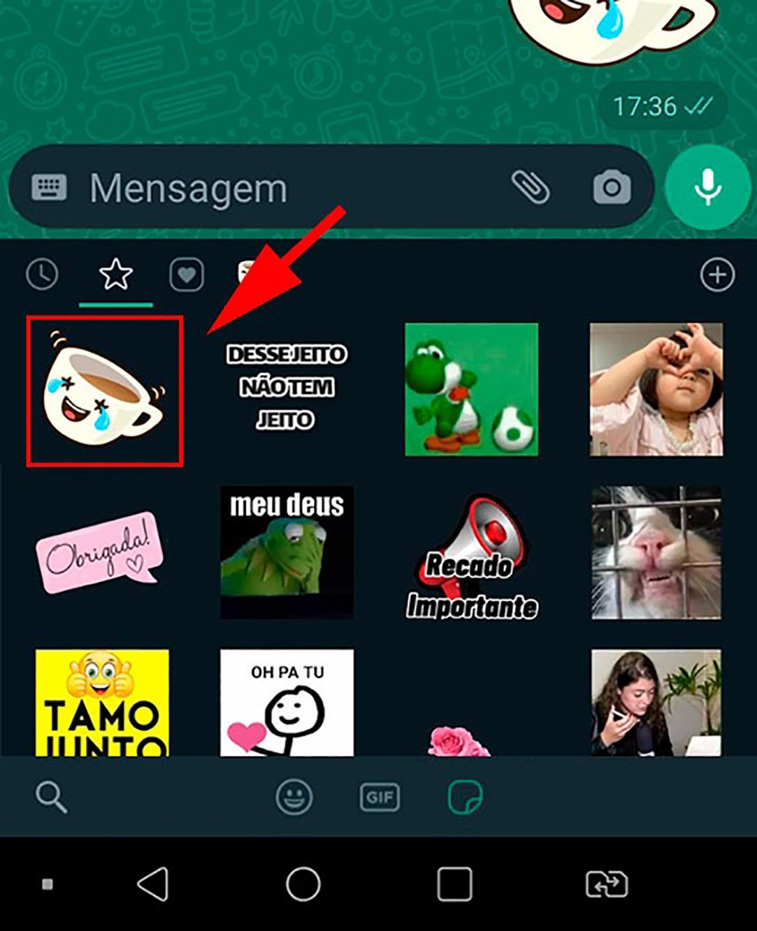 Fonte: WhatsApp (captura de tela)