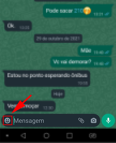 Fonte: WhatsApp (captura de tela)