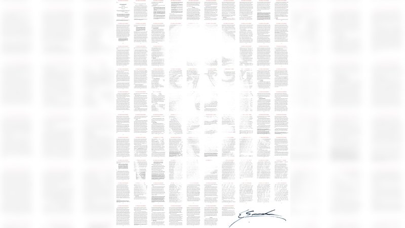 (Fonte: Edward Snowden via Foundation / Reprodução)