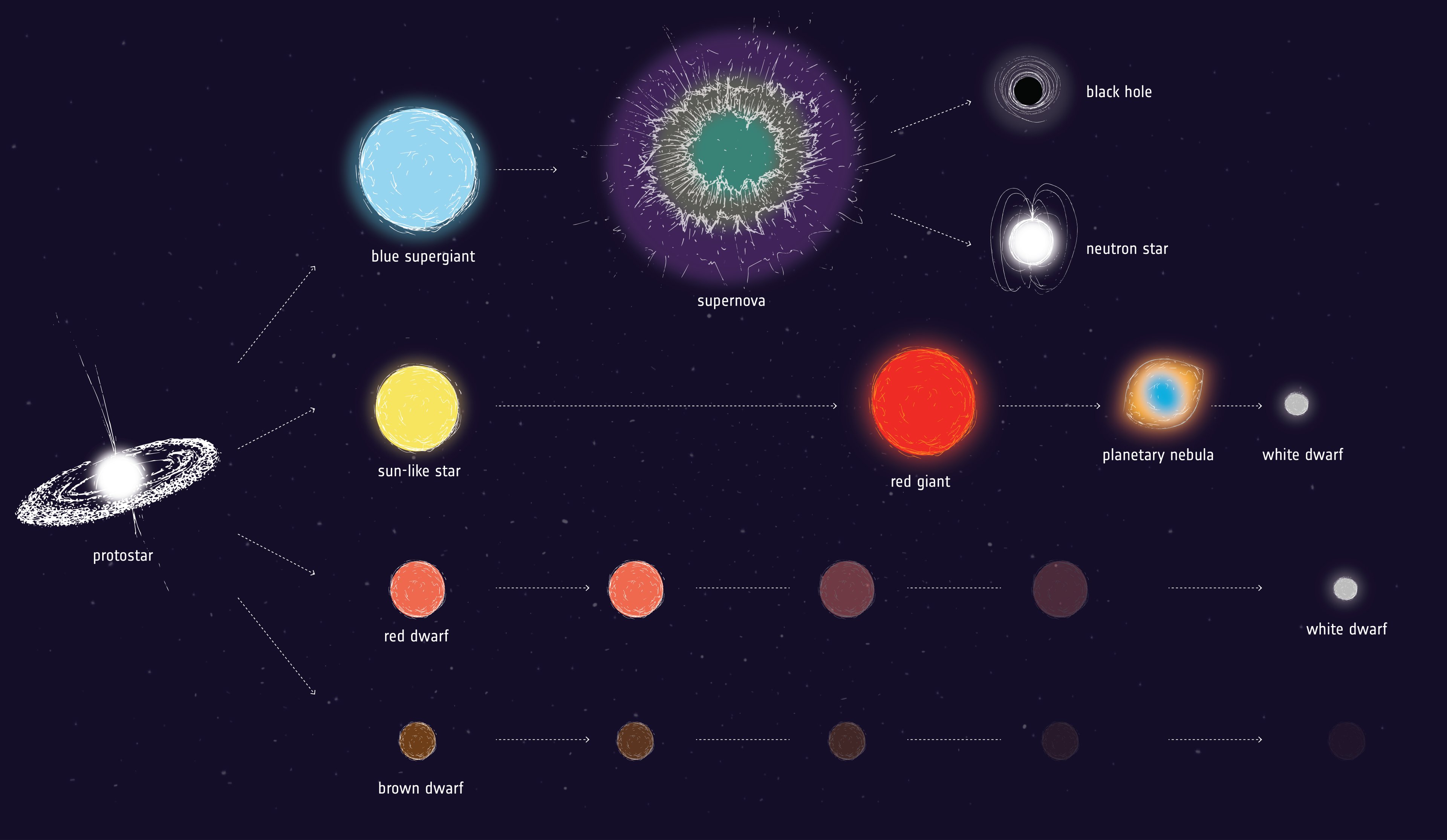 Esquema de evolução estelar para estrelas de diferentes massas. Primeira linha representa evolução de estrelas de alta massa, passando pela explosão da supernova e finalizando como um buraco negro ou uma estrela de nêutrons