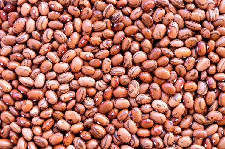 O feijão foi o vegetal que apresentou maior nível de resíduos (Fonte: Shutterstock/Reprodução)
