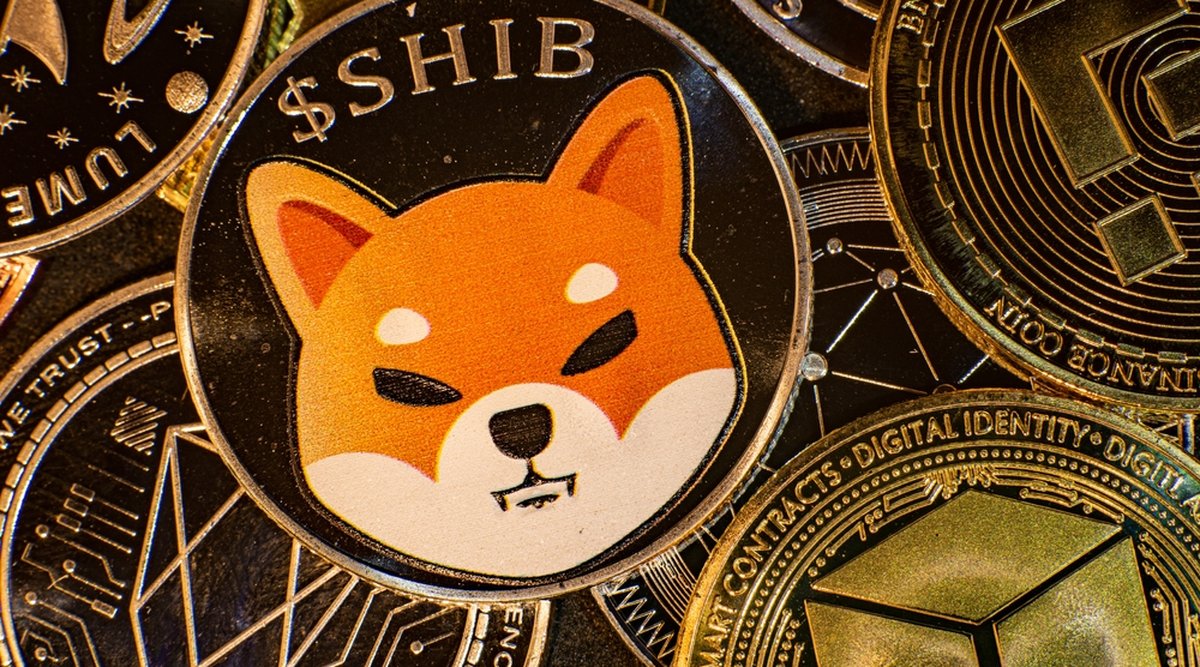 Shiba inu: conheça a criptomoeda 'concorrente' do dogecoin