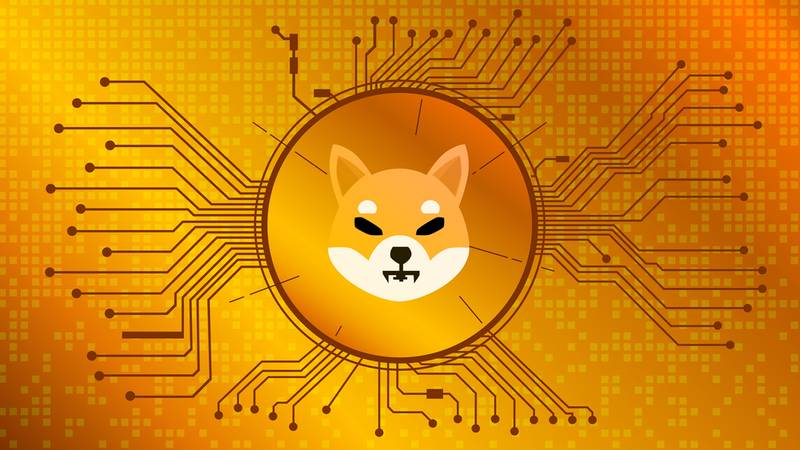 Em agosto de 2020, a SHIB foi lançada com o intuito de ser a "assassina do dogecoin"