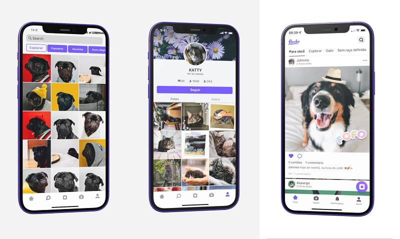 Navegue pelo feed do Flockr e visualize diversas fotos de outros animais domésticos. (Flockr/Reprodução)