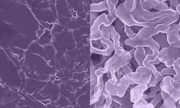 A nova bateria (esquerda) supera problema de antigas tecnologias a base de sódio (direita), como a formação de dendritos (Fonte: Yixian Wang/University of Texas at Austin)