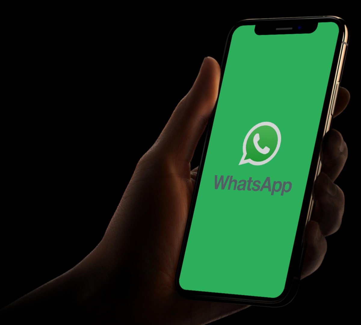 Comunidades do WhatsApp poderão integrar diferentes grupos