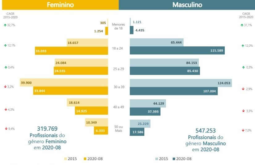 A divisão etária do mercado de TIC no Brasil.