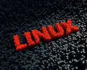 Fim de ano atrasa lançamento da versão estável do Linux 5.16 