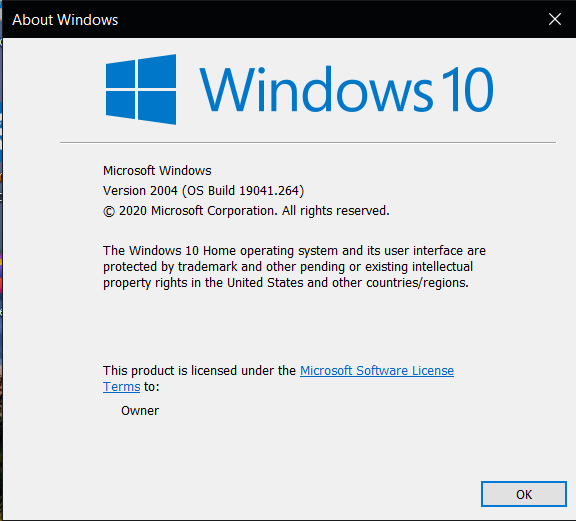 Versão 2004 do Windows 10 teve seu suporte encerrado. (Fonte: Ten Forums / Reprodução)
