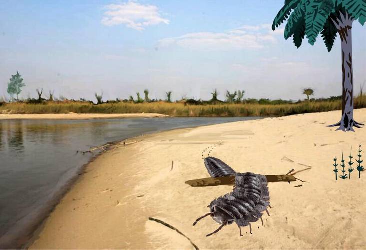 Reconstrução da espécie de Arthropleura em seu habitat natural, perto da costa.