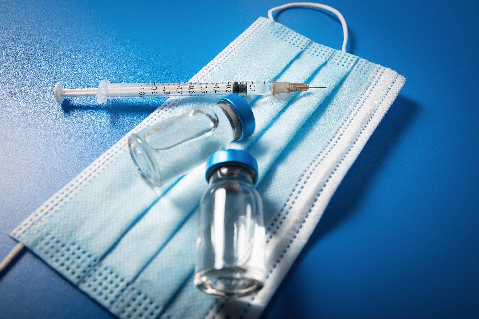 A vacinação aumenta a proteção contra a reinfecção pelo coronavírus (Fonte: Pixabay/ronstik)