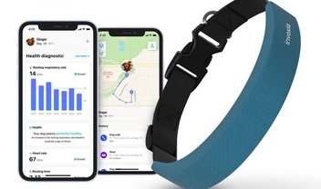 CES 2022: coleira para cães monitora respiração e batimentos