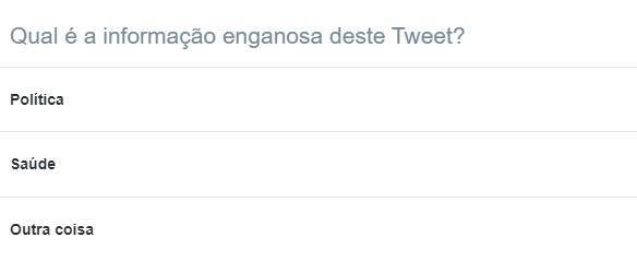 Ao selecionar o assunto do Tweet denunciado, você irá contribuir para que a apuração da informação falsa seja concluída mais rapidamente. (Twitter/Reprodução)