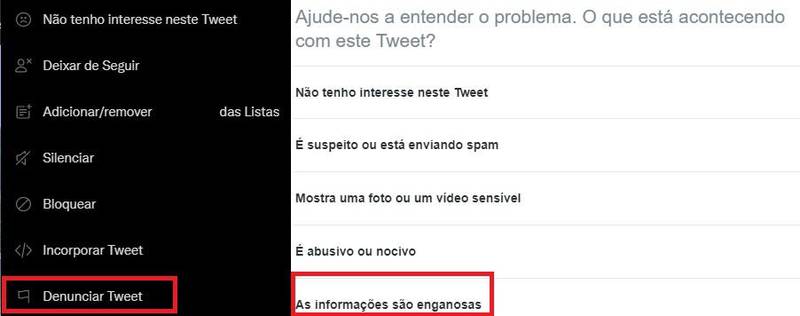 Em poucos instantes, você já poderá denunciar uma informação falsa ao Twitter, evitando que essa prática ocorra na rede social. (Twitter/Reprodução)
