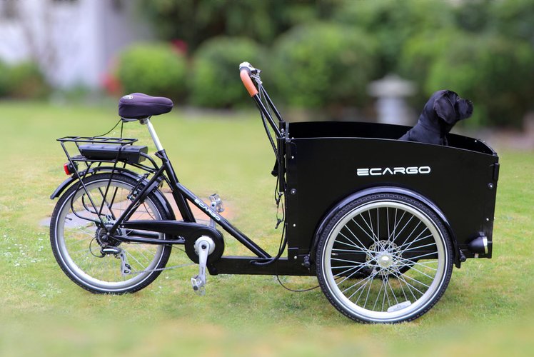 Ebikes vem nos mais diversos modelos. Algumas inclusive com opção de bagageiro (Fonte: Pixabay/cely_)