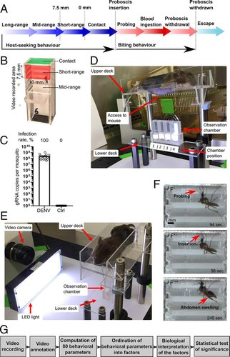 Técnicas e processo empregados na pesquisa. (Fonte: Pompon et al./PNAS/Divulgação.)