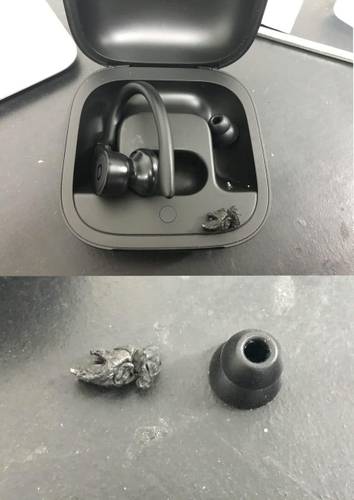 Fone Powerbeats Pro mastigado