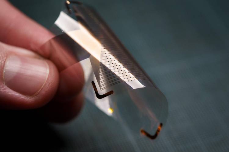 Novos sensores são mais flexíveis e 100 vezes mais finas que as grades de ECoG utilizadas em clínicas (Fonte: UC San Diego Jacobs School of Engineering/David Baillot)