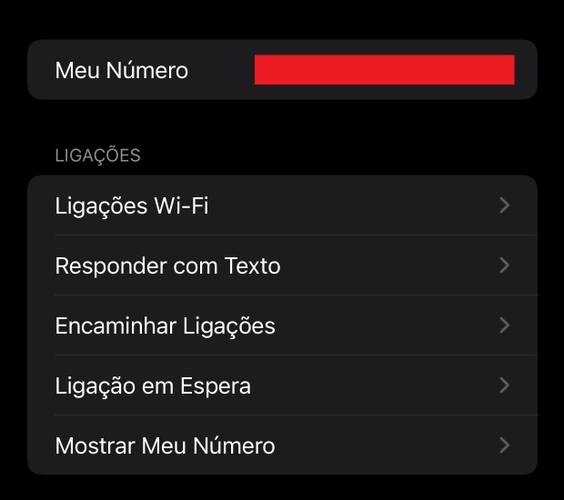 Além do seu número, é possível também mudar algumas configurações em relação à chamadas telefônicas