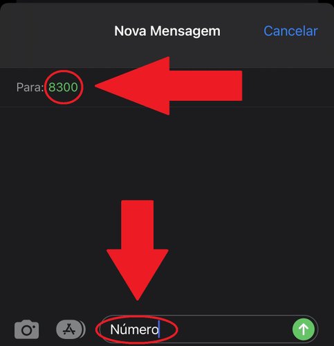 O SMS deve ser enviado para 