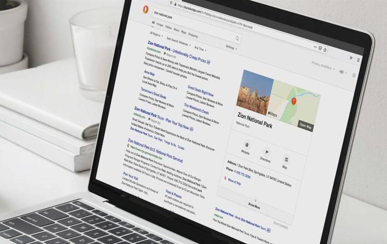 A interface é bem parecida com a de buscadores convencionais.