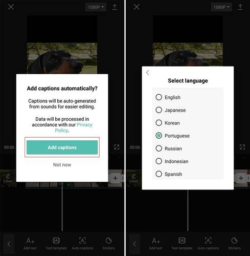 CapCut pode gerar legendas automáticas em 7 idiomas diferentes