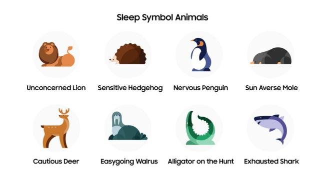 O programa Sleep Coaching traz animais que simbolizam o tipo de sono do usuário.