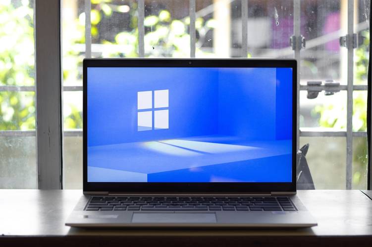 Microsoft Windows