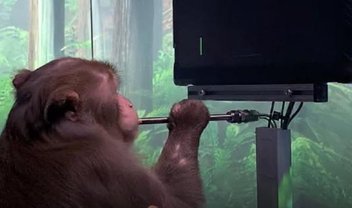 Imagem de: Testes de chip da Neuralink mataram macacos, diz denúncia