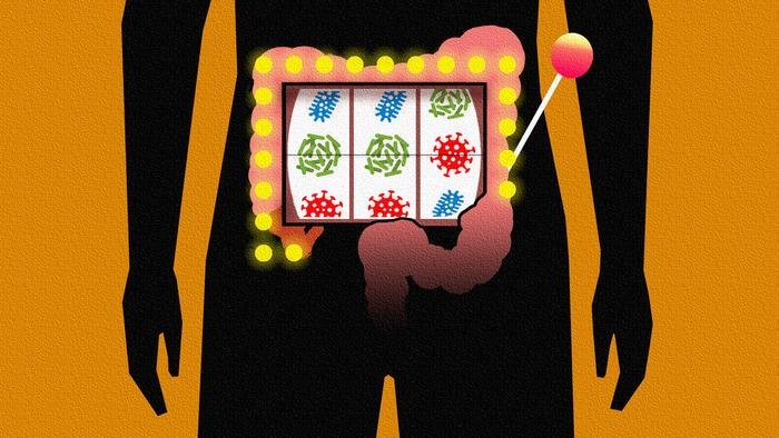 Ilustração cortesia do Instituto Carnegie, que representa o fator do acaso envolvido na incorporação de uma nova espécie na microbiota intestinal.
