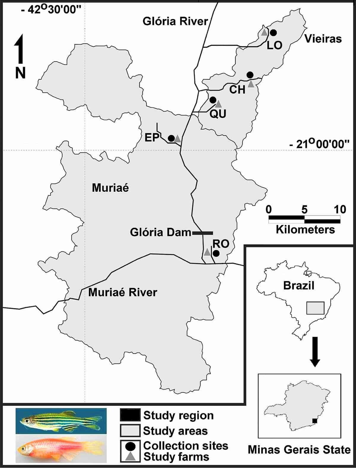 Novo dinossauro descoberto tem armadura de espinhos nunca antes vista -  TecMundo