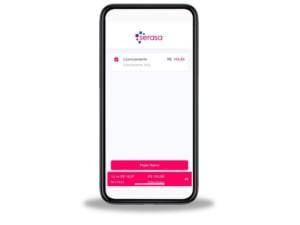 (Fonte: Serasa Experian/Reprodução)