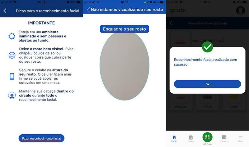 (Fonte: Gov.br/Reprodução)
