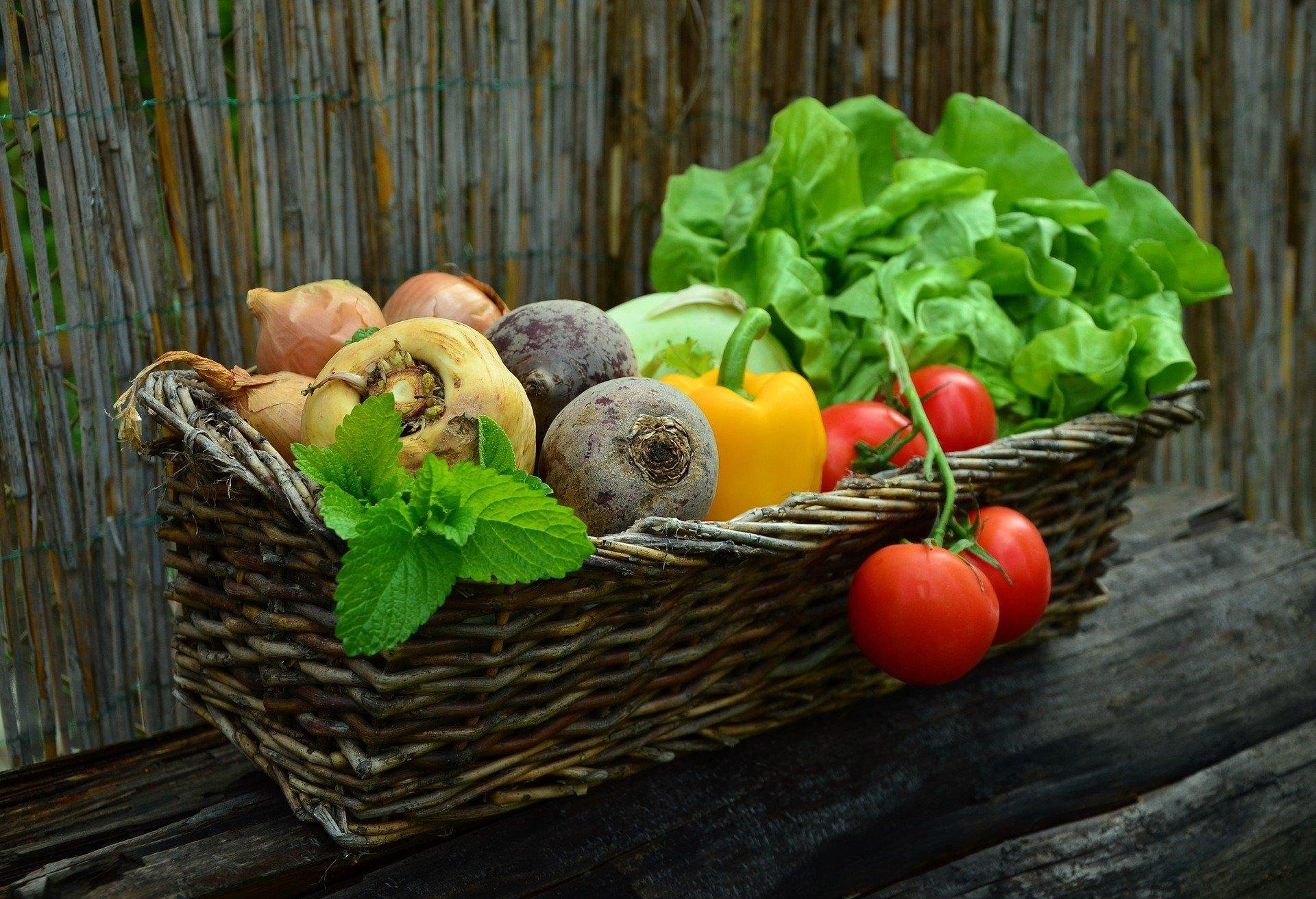 A humanidade escolha há séculos os melhores vegetais para plantar (Fonte: Pixabay/congerdesign)