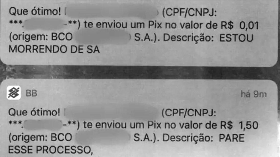 Fonte: Polícia Civil do Estado do Ceará/Divulgação.