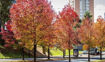 Quando o verão de 2022 vai terminar no Brasil?