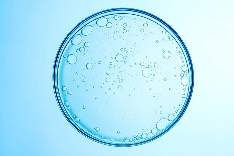 petri