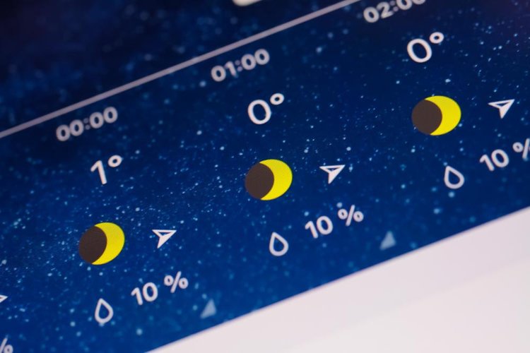 As fases da lua interferem em diversos ciclos no planeta terra, seja nas marés, na migração de animais ou na vegetação (Fonte: Shutterstock/Reprodução)