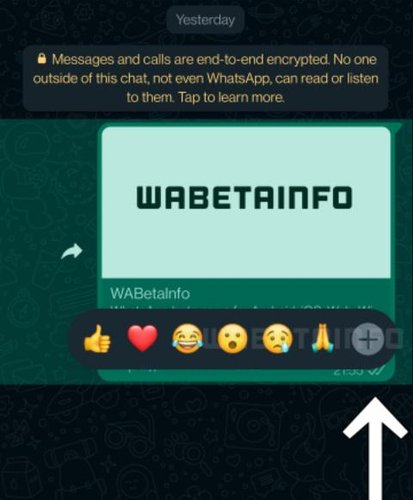 O botão em forma de "+" sugere que você poderá escolher um entre todos os emojis do app.