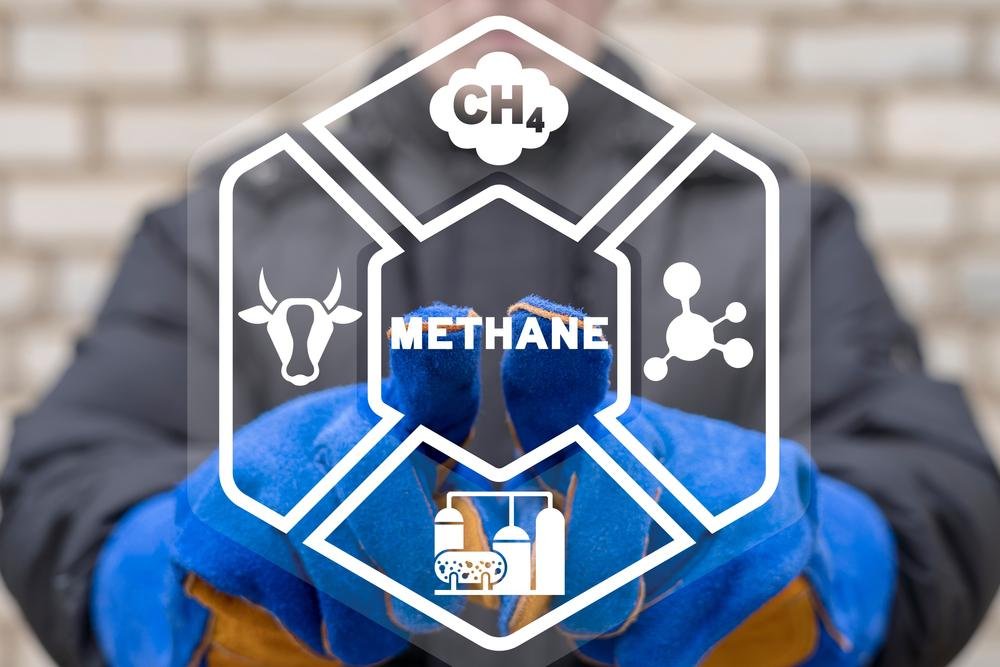 O metano é causado por diversas fontes, até como um subproduto da digestão das vacas
