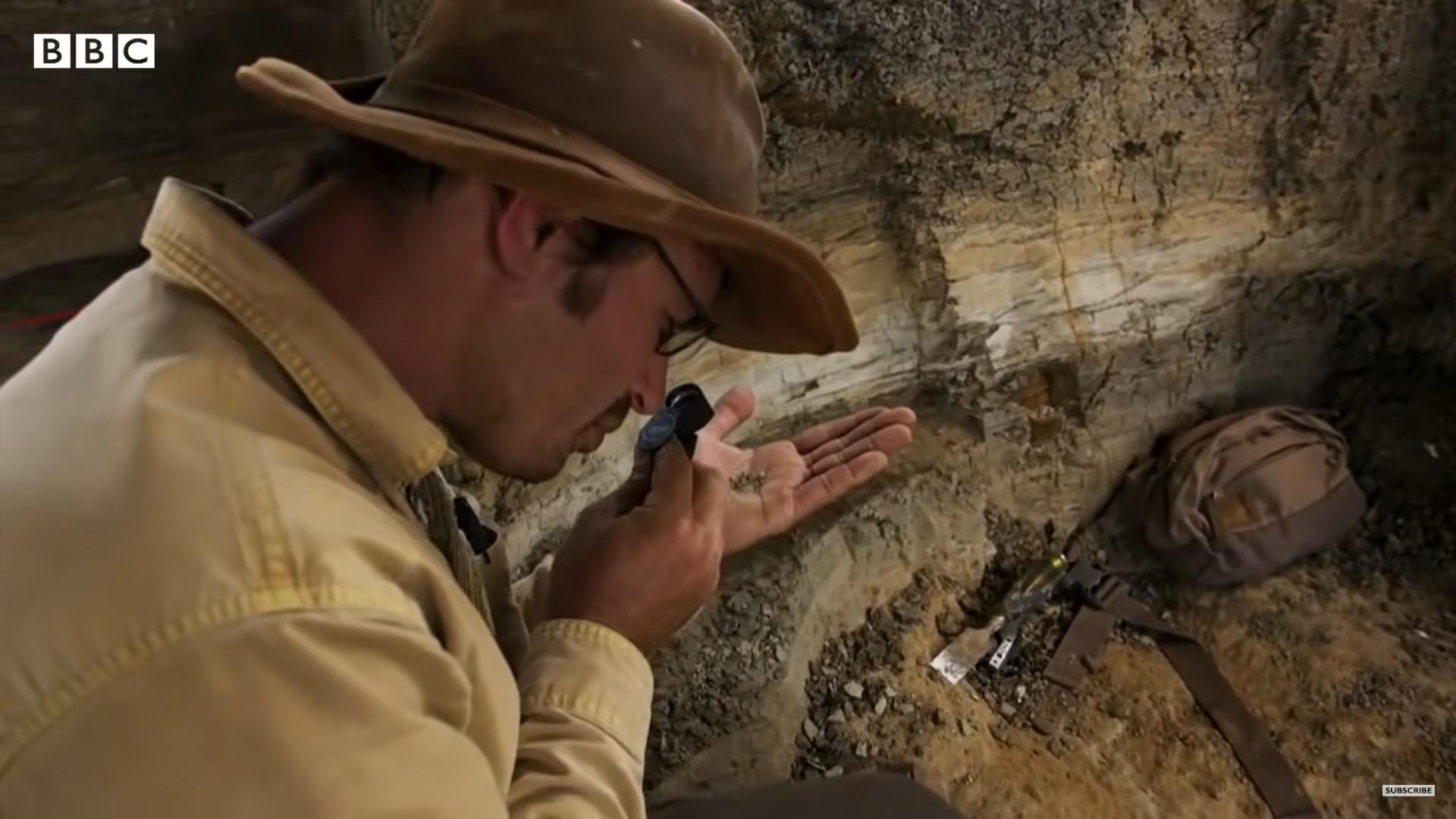 Pesquisadores descobrem fóssil de dinossauro morto pelo impacto do grande meteoro que os extinguiu (Fonte: BBC/reprodução)