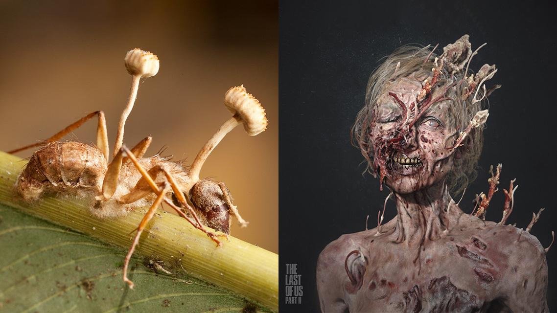 A estética dos fungos crescendo pela cabeça e corpo do infectado é inspirada em uma infecção real que atinge insetos (Fonte: Naughty Dog/PlayStation/Reprodução)