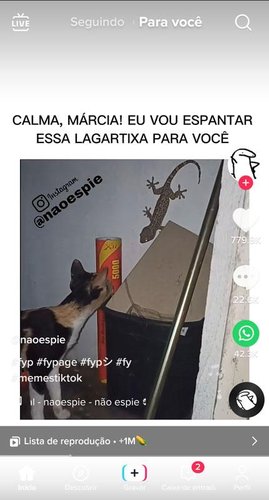 O For You é a página de recomendações personalizadas do TikTok