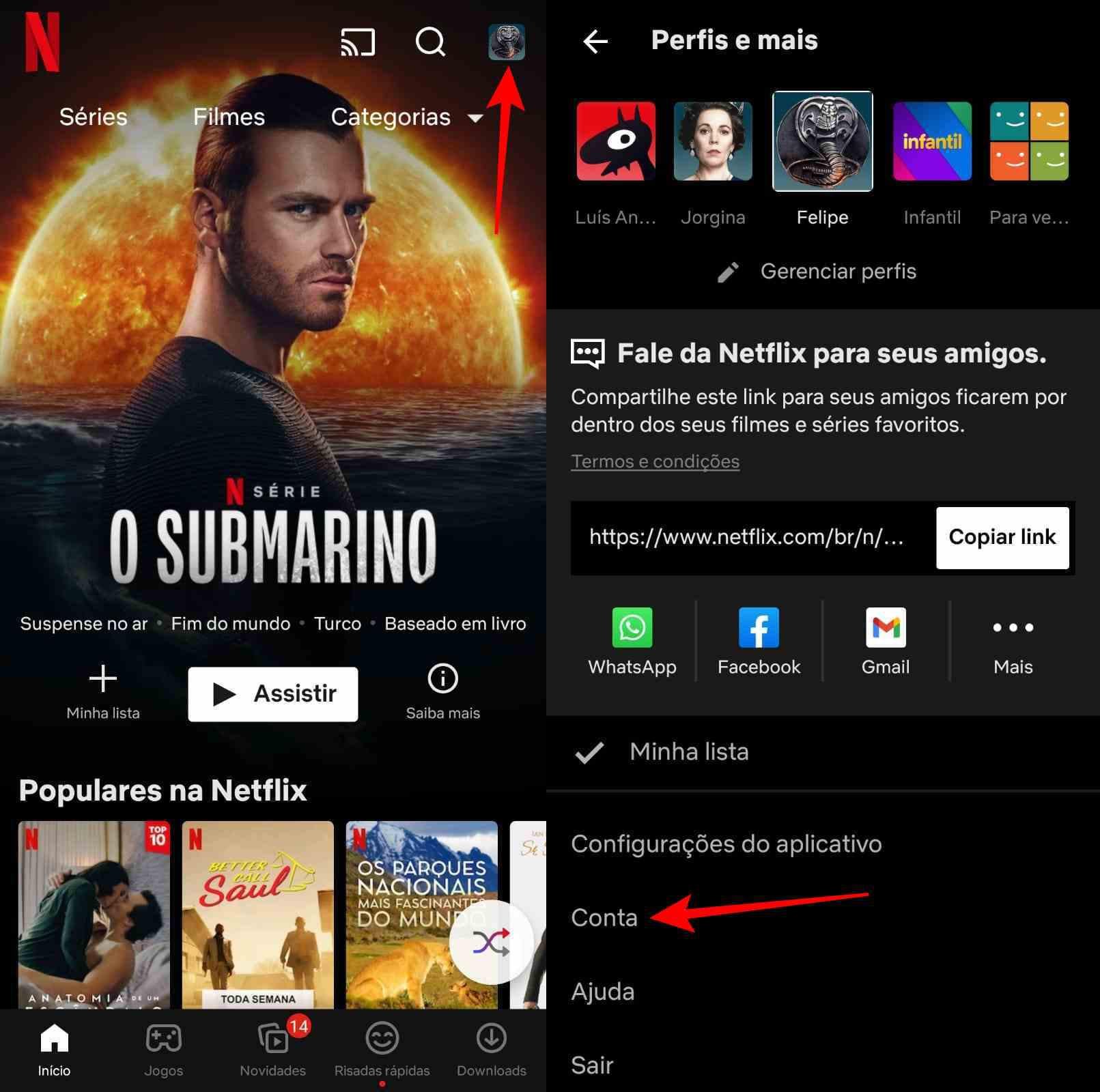 COMO CANCELAR A ASSINATURA DA NETFLIX PELO CELULAR