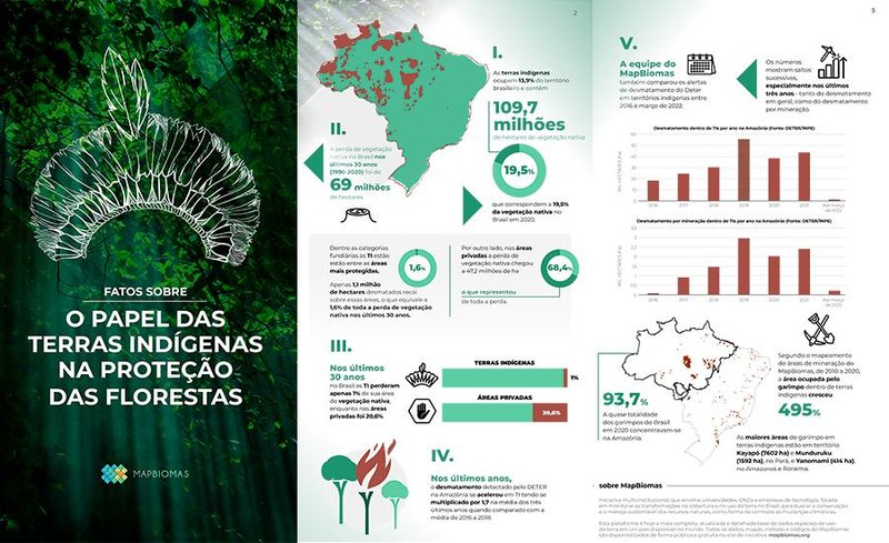 Resultado dos dados coletados durante a pesquisa do MapBiomas