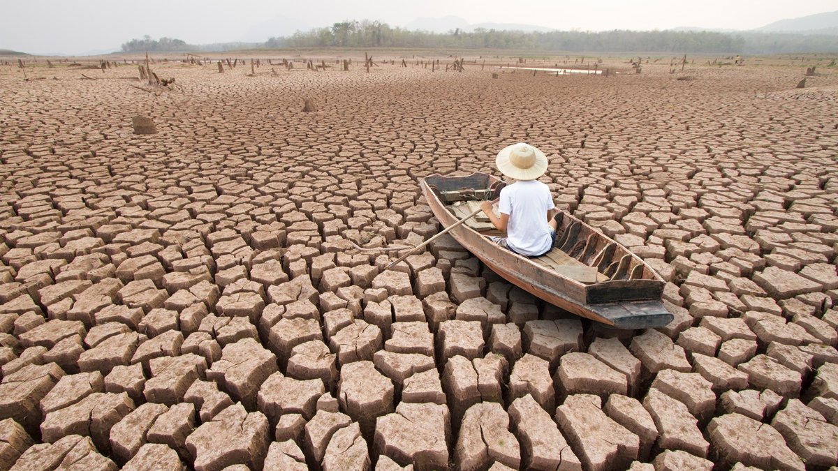 Dia da Terra: Doodle do Google alerta sobre crise da mudança climática